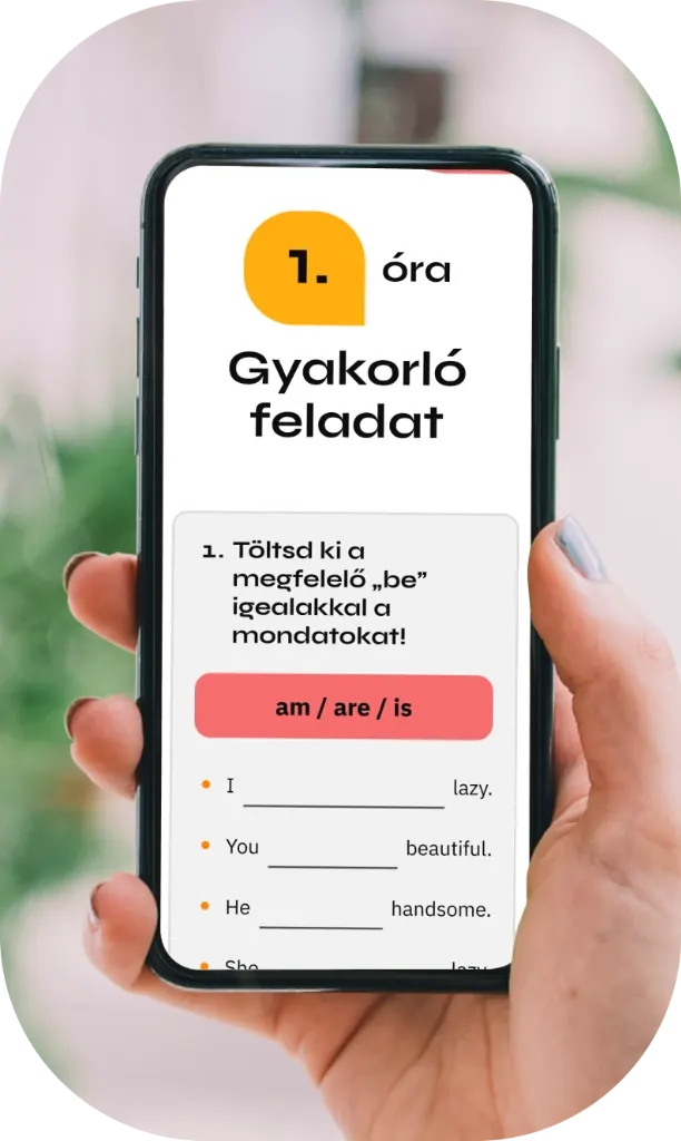 Mobilalkalmazás nézet